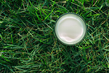 A glass of fresh milk stands on green grass