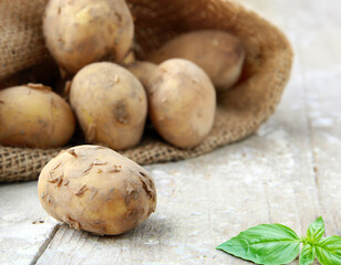 organic farm potatoes on a wooden table