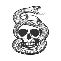 A Human Skulls with Venomous Snake and on white background Illustration