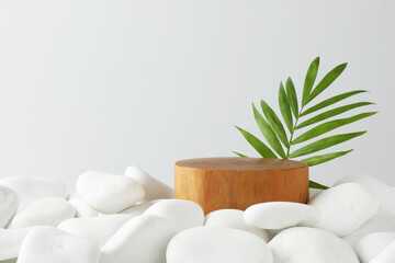 Presentation for product. Wooden podium and green twig on white pebbles. Space for text