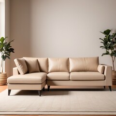 modern living room with sofa
