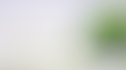 green blurred bokeh background