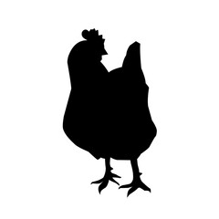Beautiful black chicken vector silhouette art.This is an editable vector file.
