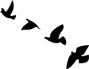 Vector illustration of flock of birds on transparent background 