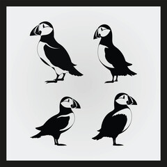 Puffin bird silhouette set Clipart on a hex color background