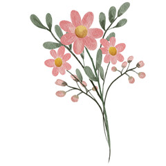 bouquet of pink flowers ‘s on transparent background, watercolor art