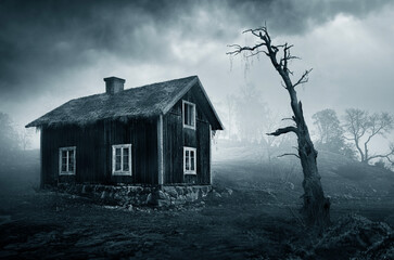 Old and spooky old house , 3D illustration