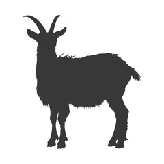 Obraz premium silhouette goat animal black color only full body