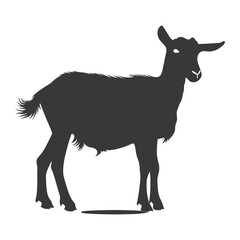 Obraz premium silhouette goat animal black color only full body