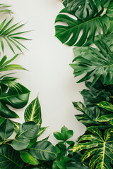 Green leaves copy space creative background. Monstera leaf, palm leaf and other green leaves on a white background.