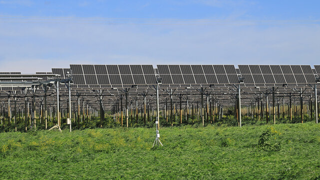 Serre photovolta&iuml;que agricole.