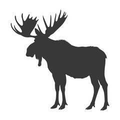 silhouette moose animal full body black color only