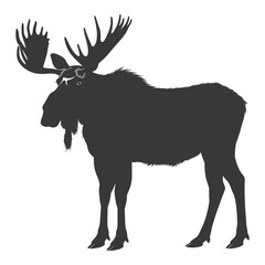 Obraz premium silhouette moose animal full body black color only