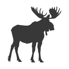 silhouette moose animal full body black color only