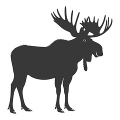 silhouette moose animal full body black color only