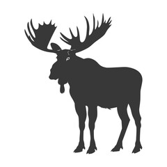 Fototapeta premium silhouette moose animal full body black color only