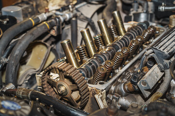 Part of a car engine. Valves. Valve spring. Camshaft. Camshaft sprocket. Sixteen valves....