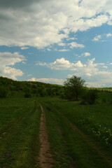 A dirt road through a field