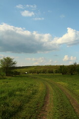 A dirt road through a field