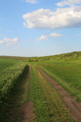 A dirt road through a field