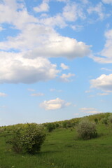 A grassy field with trees and blue sky with clouds