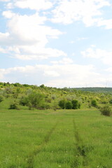 Obraz premium A grassy field with trees and clouds in the sky