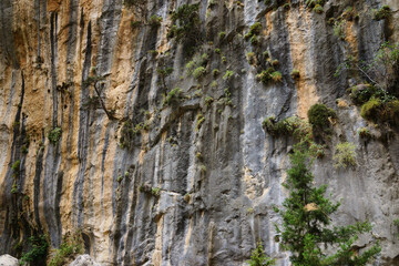 The Samaria Gorge is a National Park of Greece since 1962 on the island of Crete.