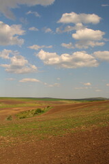 Naklejka premium A field with a blue sky and clouds