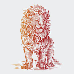 lion drawn in vintage engraving style
