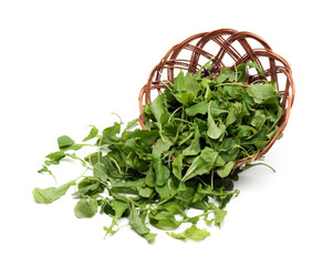 bunch of green salad, png file