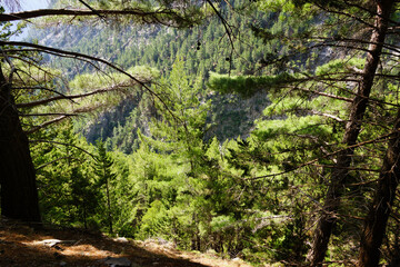 The Samaria Gorge is a National Park of Greece since 1962 on the island of Crete.