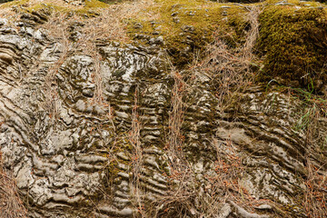 The Samaria Gorge is a National Park of Greece since 1962 on the island of Crete.