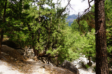 Obraz premium The Samaria Gorge is a National Park of Greece since 1962 on the island of Crete.