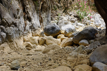 Fototapeta premium The Samaria Gorge is a National Park of Greece since 1962 on the island of Crete.
