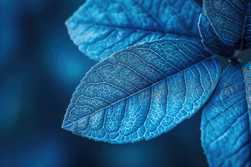  Dark blue leaves in the forest, closeup. Created with Ai