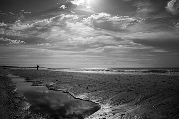 Uma manhã de sol, em uma praia deserto.
