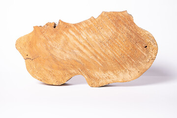 Cross section of a crooked tree trunk
