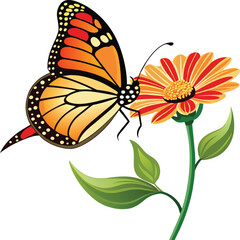 Monarch butterfly flying illustration. Monarch Butterfly on flowers