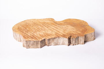 Cross section of a crooked tree trunk