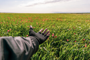 A hand is holding a glove in a field of flowers. The scene is peaceful and serene, with the flowers...
