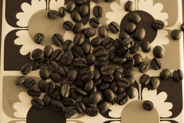 coffee seed