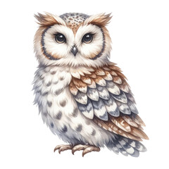 Fototapeta premium A cute cartoon owl with big eyes and a fluffy body.