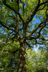 sur les hauteurs de Penne le Chateau