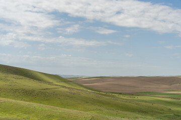A large, open field with a clear blue sky. The sky is dotted with clouds, and the grass is lush and green. The scene is peaceful and serene, with no signs of human activity