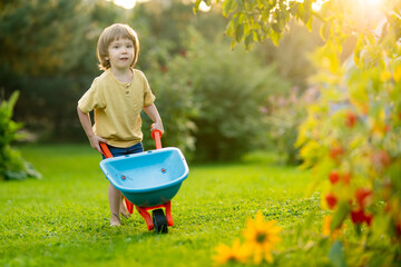 Adorable little boy having fun with a toy wheelbarrow. Cute child playing farm on summer day.