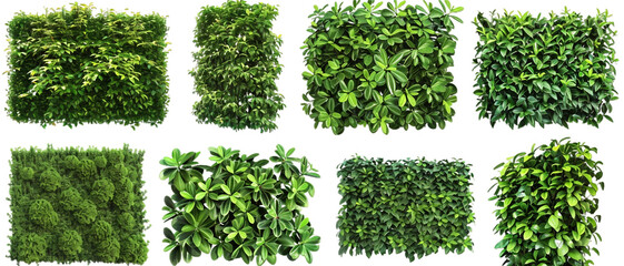 Set of bushes PNG transparent background