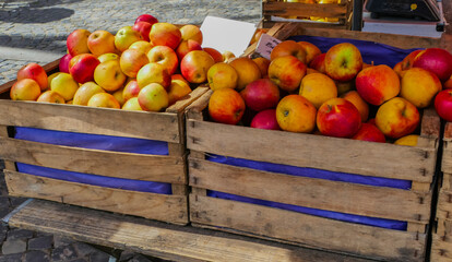 Holzkisten mit Äpfeln auf Wochenmarkt 