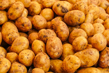 Erntefrische Kartoffeln Markt Wochenmarkt Marktstand