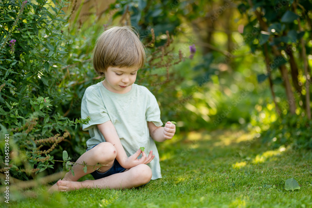 Canvas Prints Adorable little boy having fun outdoors on sunny summer day. Kid running outdoors. Child exploring nature. Summer activities for kids.