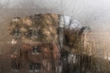 wet window glass. street view